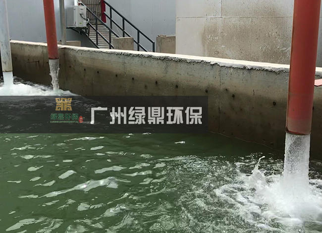 強力帶式污泥脫水機運行視頻【河道淤泥清理工程】